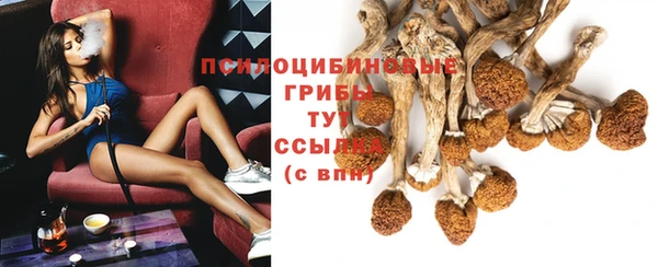 герыч Надым