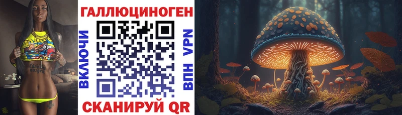 кракен ССЫЛКА  Покачи  Псилоцибиновые грибы Cubensis 